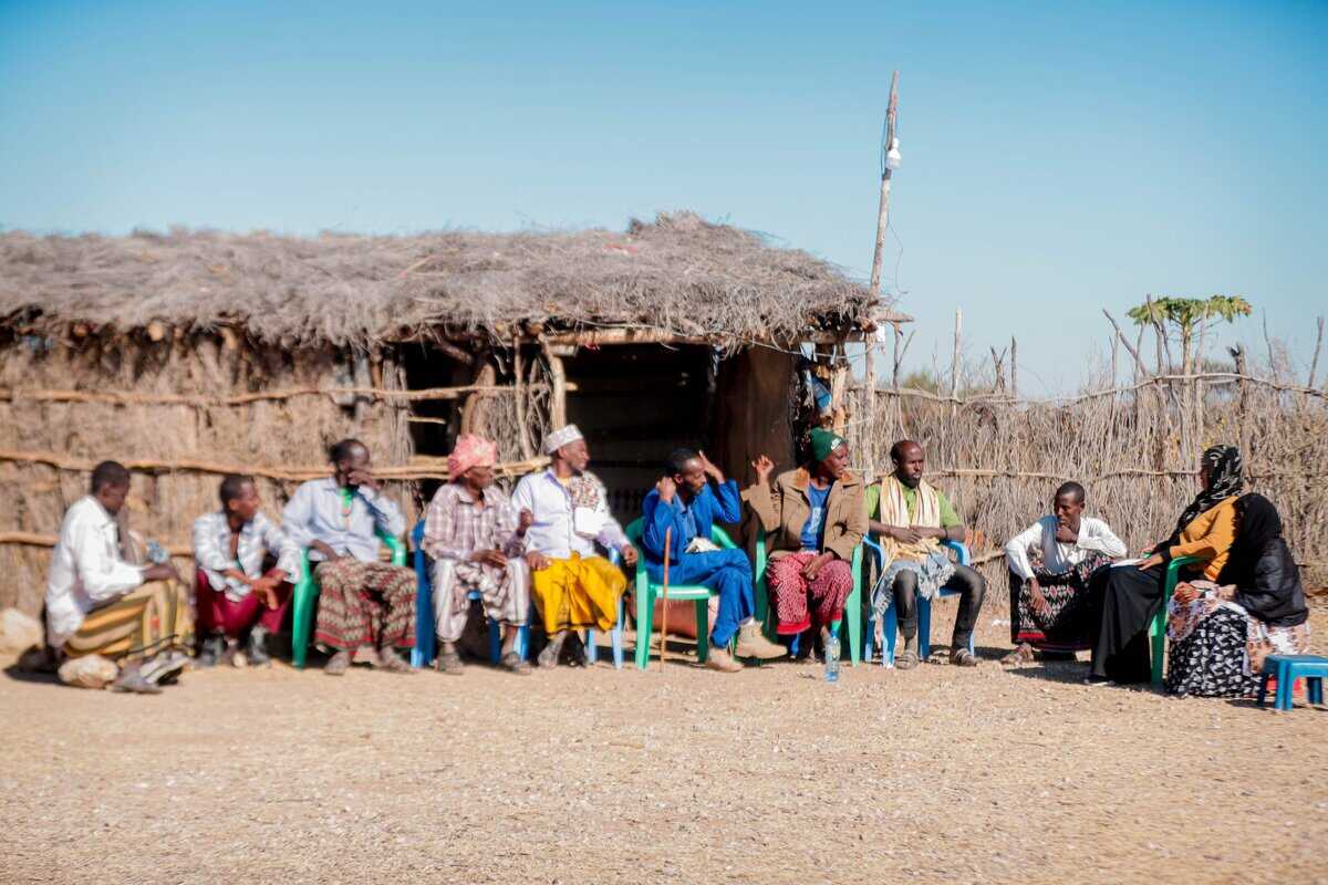 Frankincense Harvesters